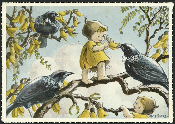 Acres, Avis, 1910-1994 :New Zealand flower babies. Kipi and Kiri, the Kowhai Kiddies five the Tuis a sip of sweet honey from their bright, yellow flower-jugs. [ca 1955].