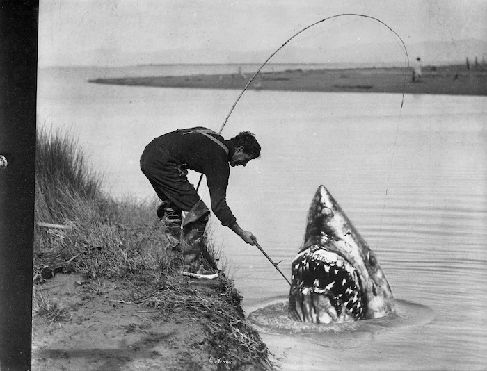 Man `catching' a shark