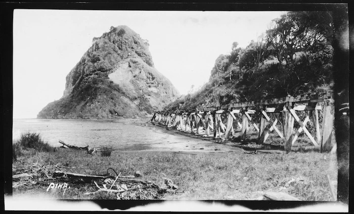 View of tramway trestle and Lion Rock, Piha
