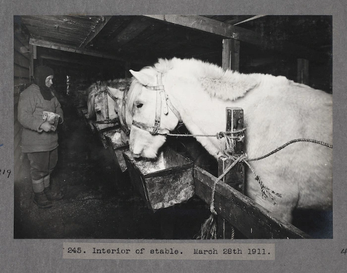Interior of the stable, Antarctica.