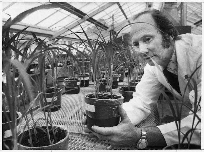 Dr John Widdowson of the DSIR's Soil Bureau - Photograph taken by Brett Richardson