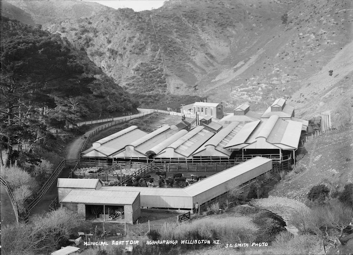 Municipal Abattoir, Ngauranga, Wellington