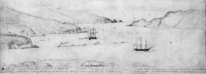 [Heaphy, Charles] 1820-1881 :View of the "Tory Channel", Queen Charlotte's Sound. [14 October 1839]