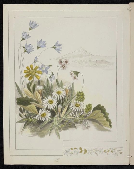 Harris, Emily Cumming 1837?-1925 :Flowers from Mount Egmont. 1. Ranunculus pinguis. 2. Fostera [sic] tenella. 3. Celmisia longifolia. 4. Wahlenbergia gracilis. 5. Lobelia. [189-?].