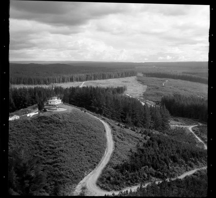 Kaingaroa Forest