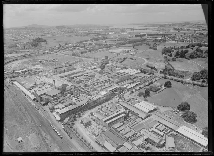 Freezing works of R & W Hellaby Limited, Auckland