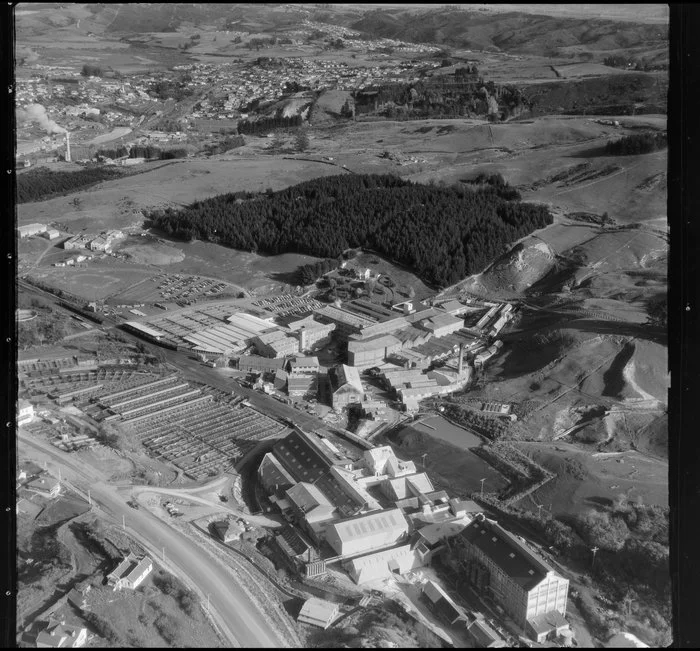 Burnside Freezing Works, Dunedin