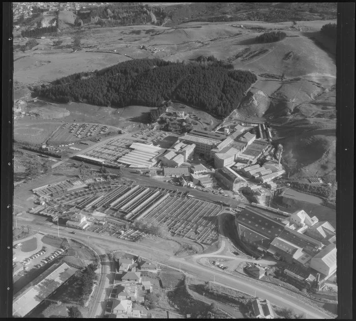 Burnside Freezing Works, Dunedin