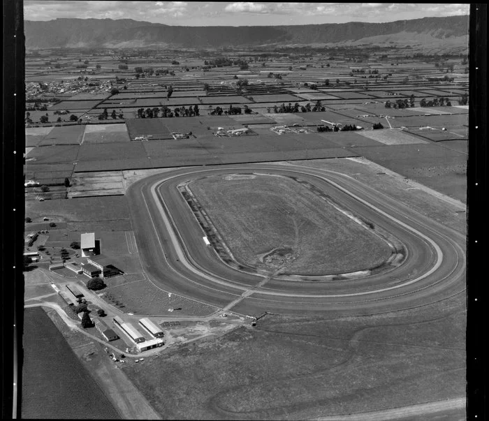 Matamata, racecourse