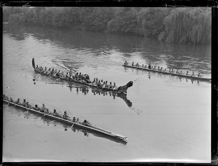 Three waka taua on the Waikato River [Royal visit?]