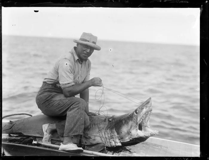 Sid Irving holding open the mouth of a shark with a cord
