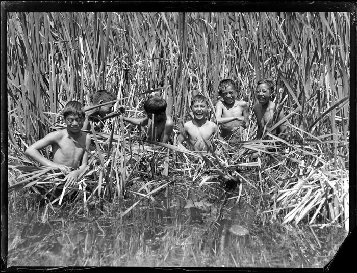 Māori boys swimming amongst the raupō reeds, Lake Taupō