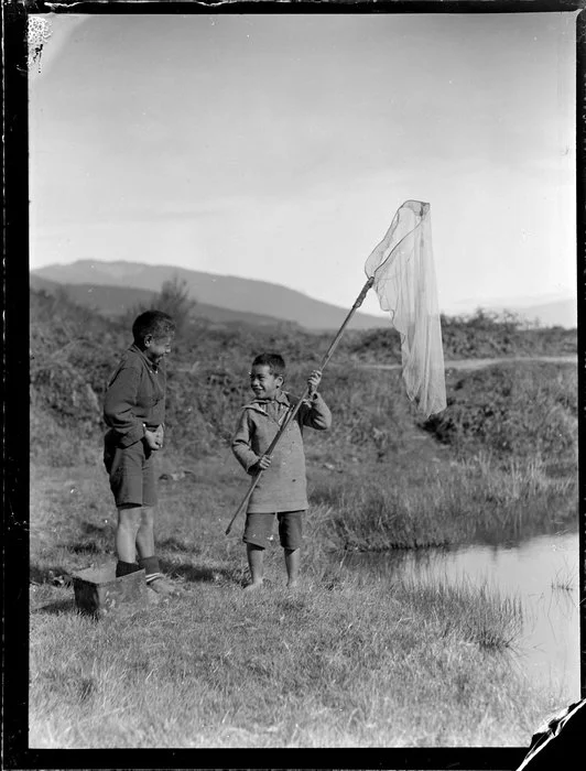 Two Māori boys net fishing, Waikato
