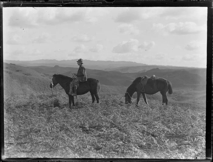Horse and rider with spare horse, Tokoroa