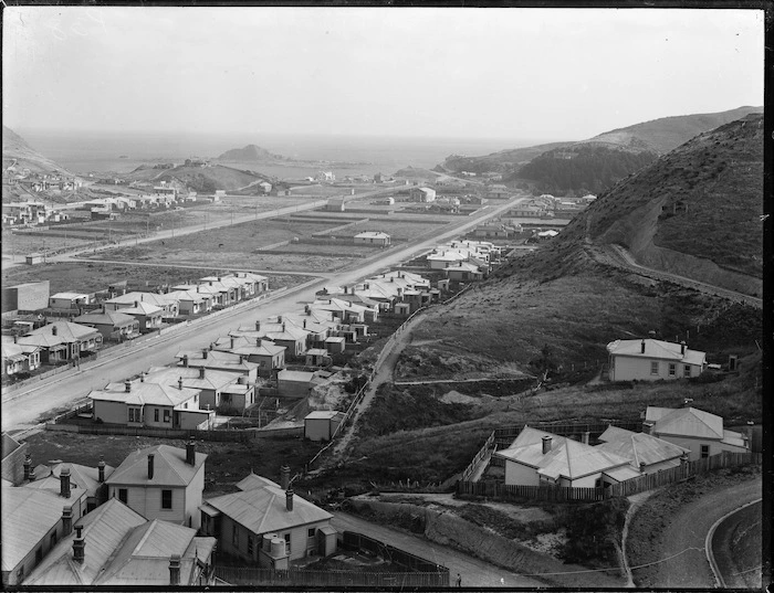 Island Bay, Wellington, looking south from Rhine Street over Derwent Street, with Eden and Freeling Streets directly below.