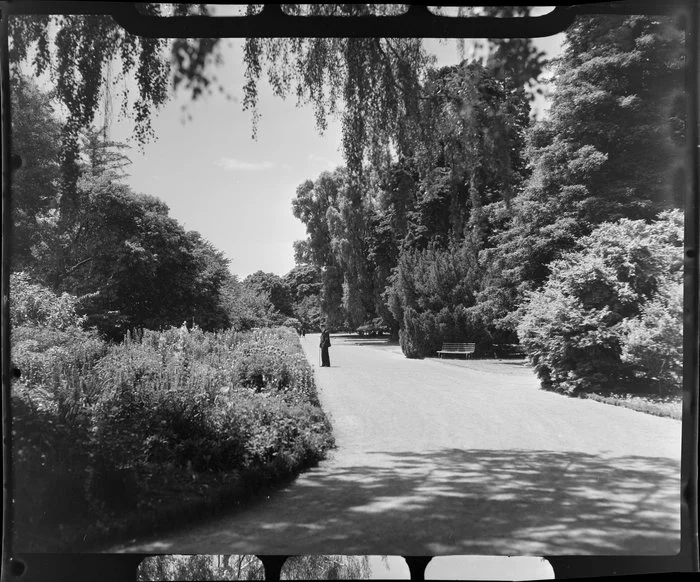 Unidentified man in the Botanic Gardens, Christchurch