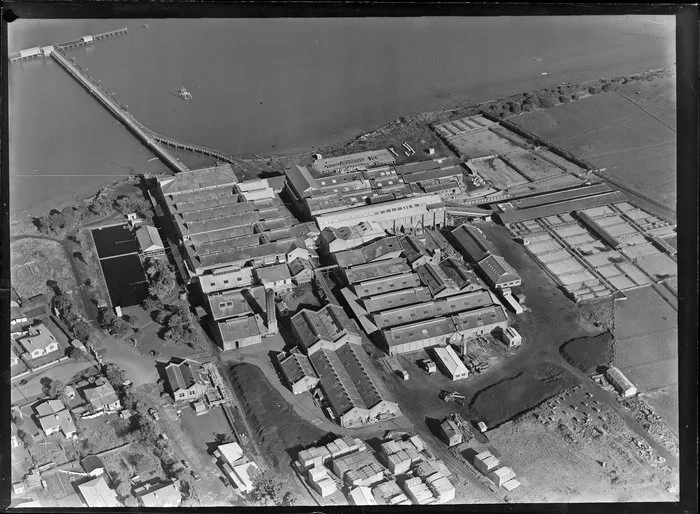 Close-up view over the New Zealand Refrigerating Company, Imlay Freezing Works Imlay Place, Wanganui, with stock pens and yards, and effluent treatment ponds, and stacks of timber next to residential housing, located beside the Wanganui River with wharf for loading ships