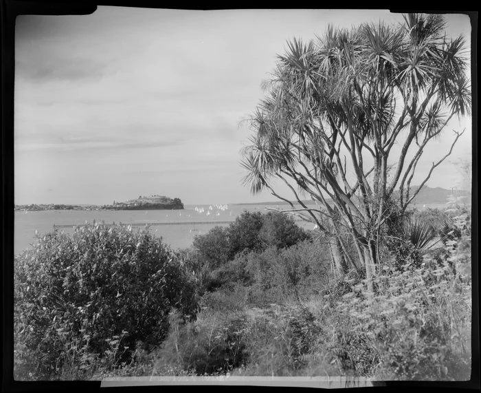 Orakei, Auckland from Paritai Drive, showing Devonport and yachts in the distance