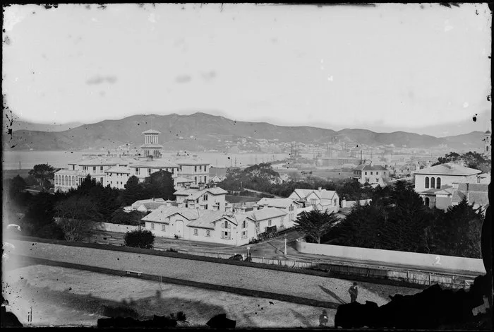 Thorndon, Wellington, including Museum Street [Sydney Street in foreground?], Government House, Colonial Museum, and ships in Wellington Harbour