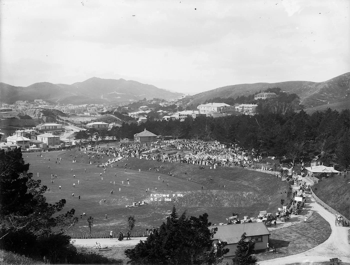 Overlooking Newtown Park, Newtown, Wellington