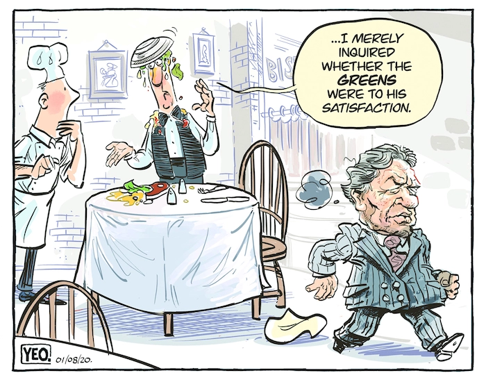 Winston Peters and the Green Party