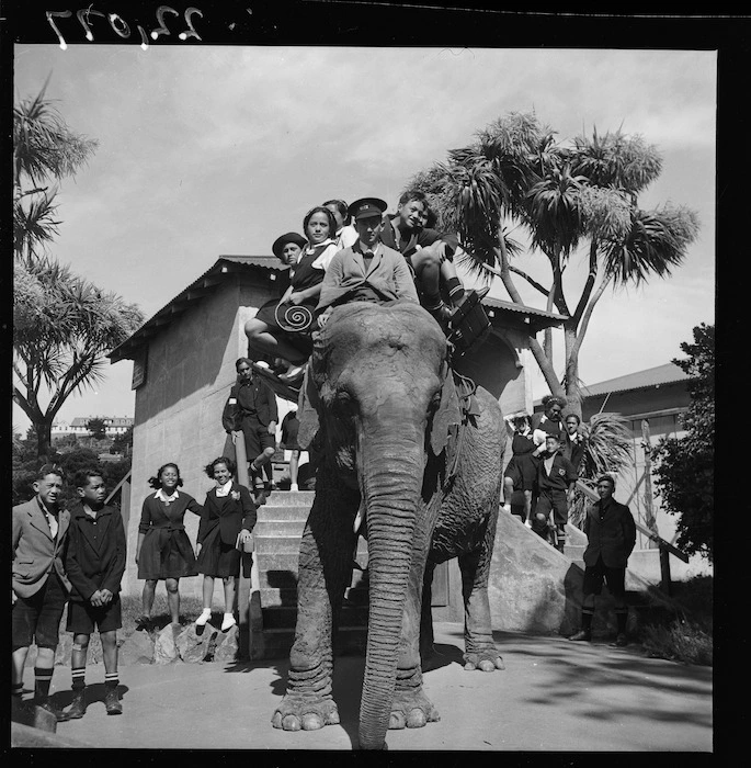 Maori children riding the elephant at Wellington Zoo