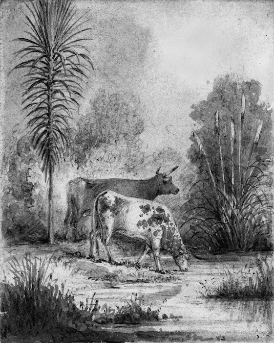 Swainson, William, 1789-1855 :Young cabbage tree - Our cows Hawkshead 1847.