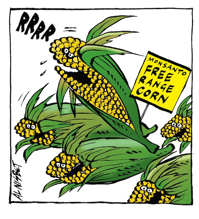 Monsanto Free Range Corn. 4 April, 2007