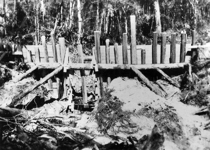 Kauri dam, Kaiarara area, Great Barrier Island