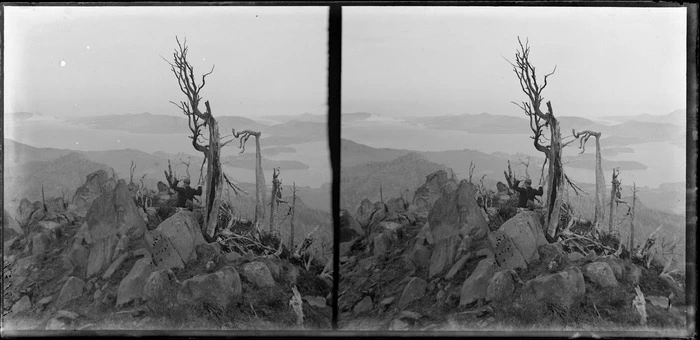 View from Mount Cargill, Dunedin, featuring an unidentified man standing on a rocky outcrop amongst dead trees