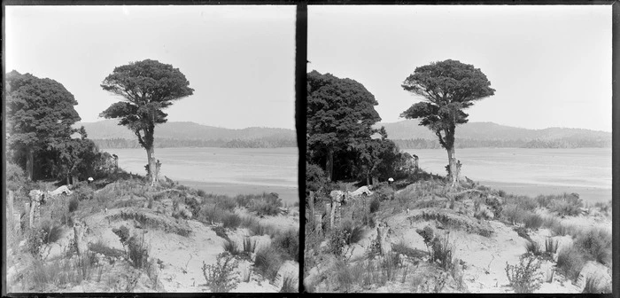 Dunes, native forest, and coastal inlet, Catlins area, Clutha District, Otago Region