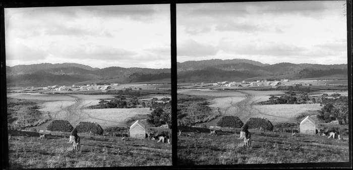 Man, sitting on a stump and looking out at fields and the settlement beyond, Catlins, Otago