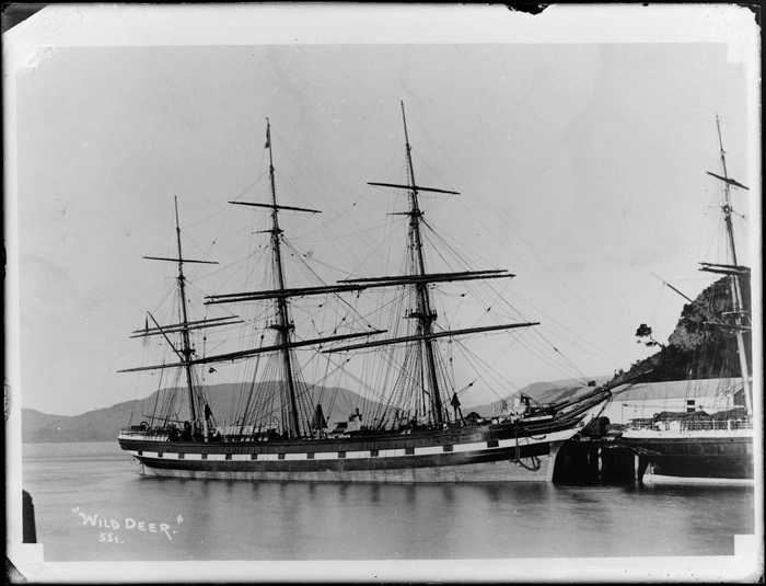 Tea-clipper ship 'Wild Deer', at Port Chalmers, Dunedin - Photograph taken by David Alexander De Maus