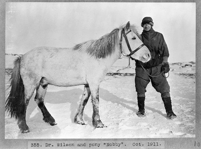 Dr Wilson and pony Nobby, Antarctica