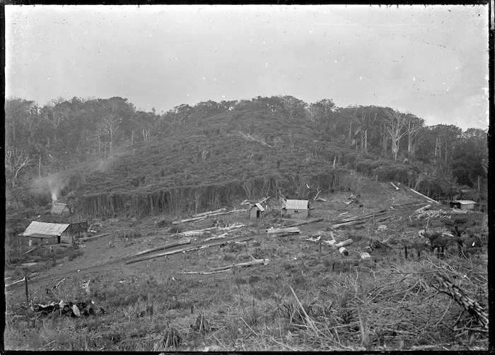 Shanties in a bush clearing, Anawhata