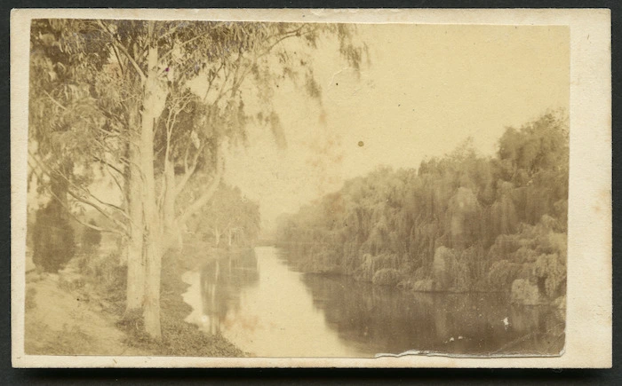 Ferrier, William (Christchurch) fl 1881-1900 :Photograph of Botanical gardens, Christchurch