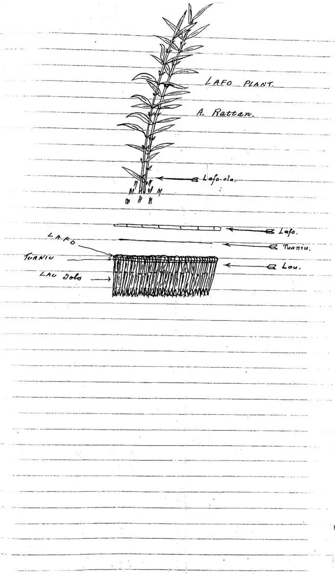 [untitled figure] - An Account of Samoan History up to 1918