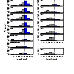 Decadal population dynamics of an intertidal bivalve (Austrovenus stutchburyi) bed: pre- and post- a mass mortality event