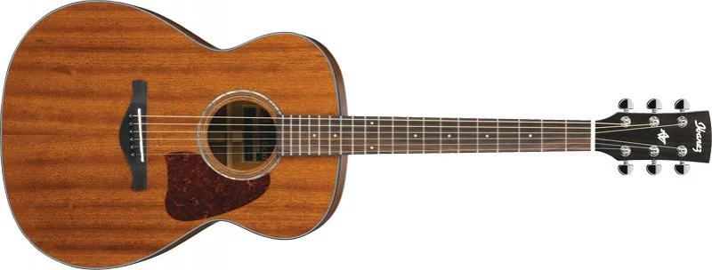 Feature - Gear Review: Ibanez Artwood AC240