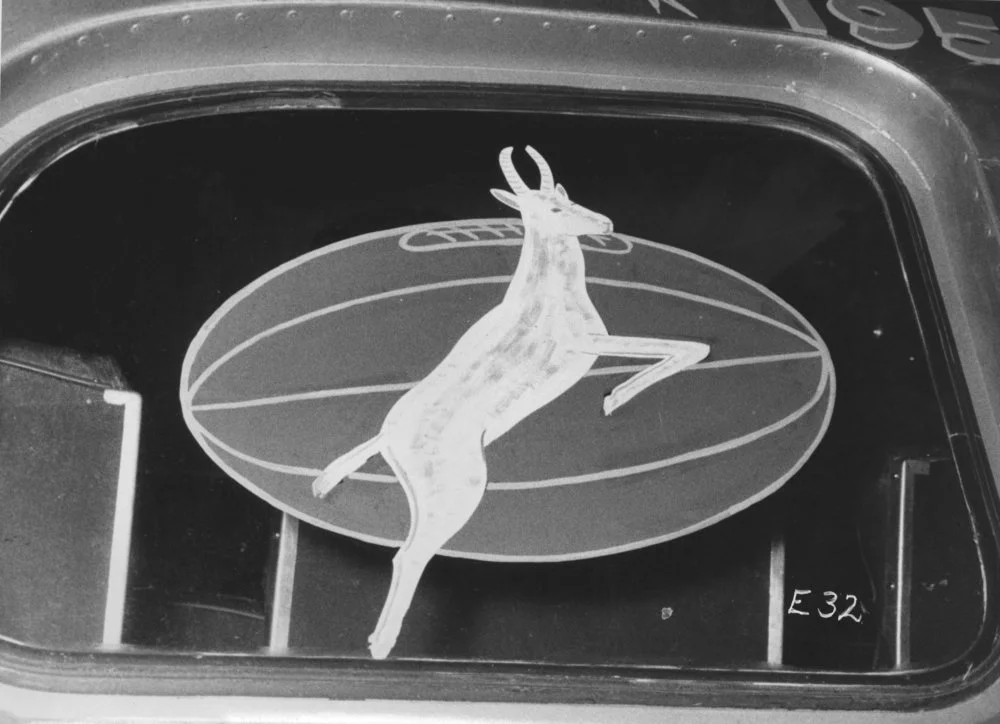 Springbok logo