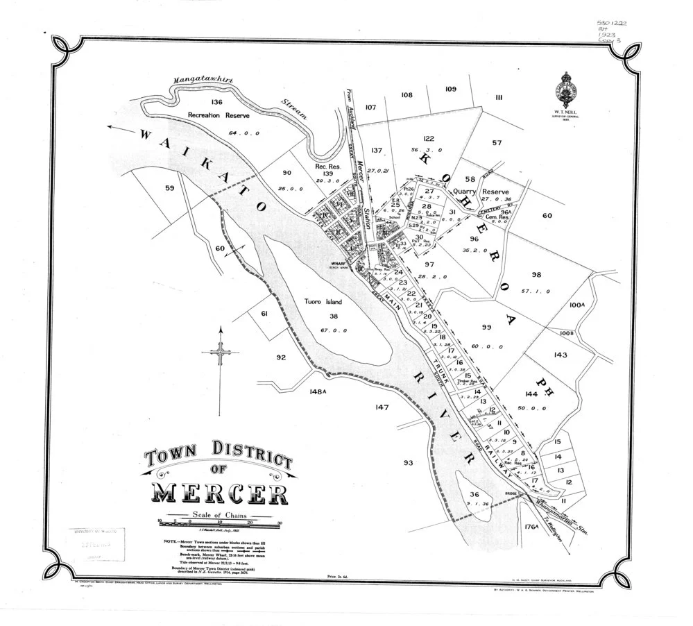 Town District of Mercer: cadastral map