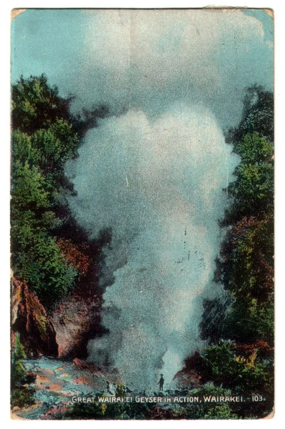 Wairakei Geyser in action Wairakei postcard W.Beattie and Co.