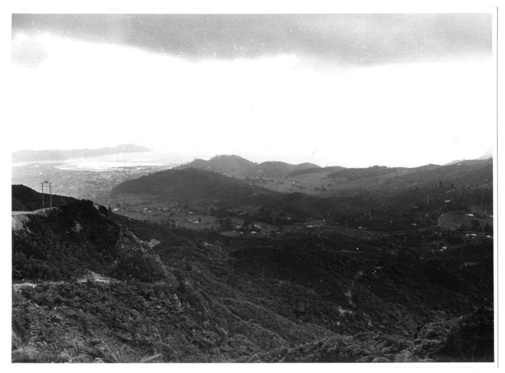 Coromandel Town from Tokatea