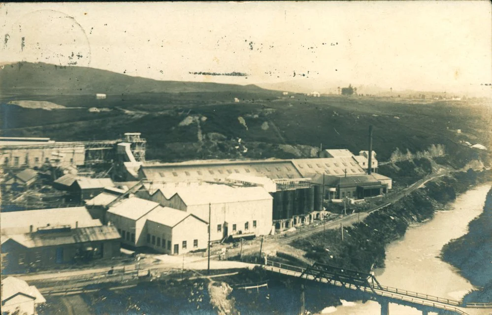 Victoria Battery, Waikino