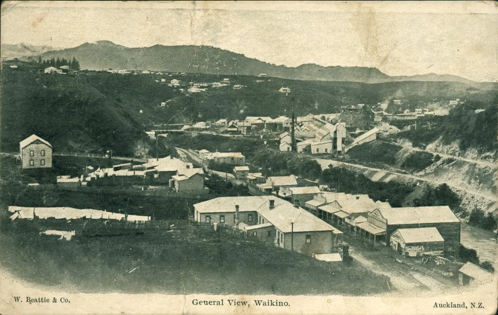 General view, Waikino