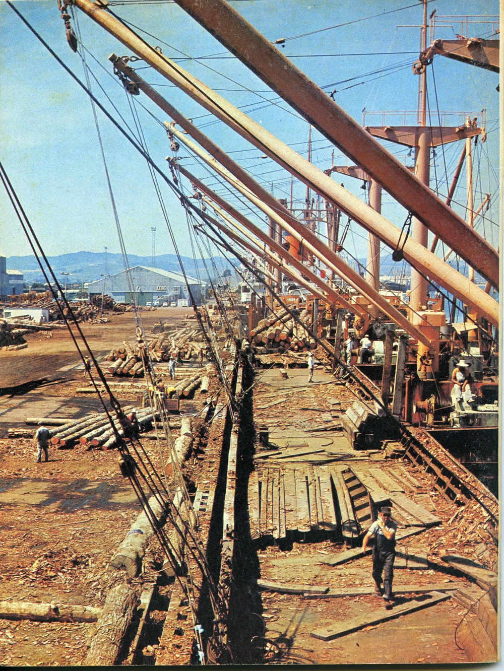 Port of Tauranga export logs c 1968