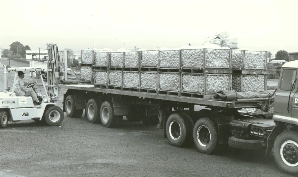 Kiwifruit truck