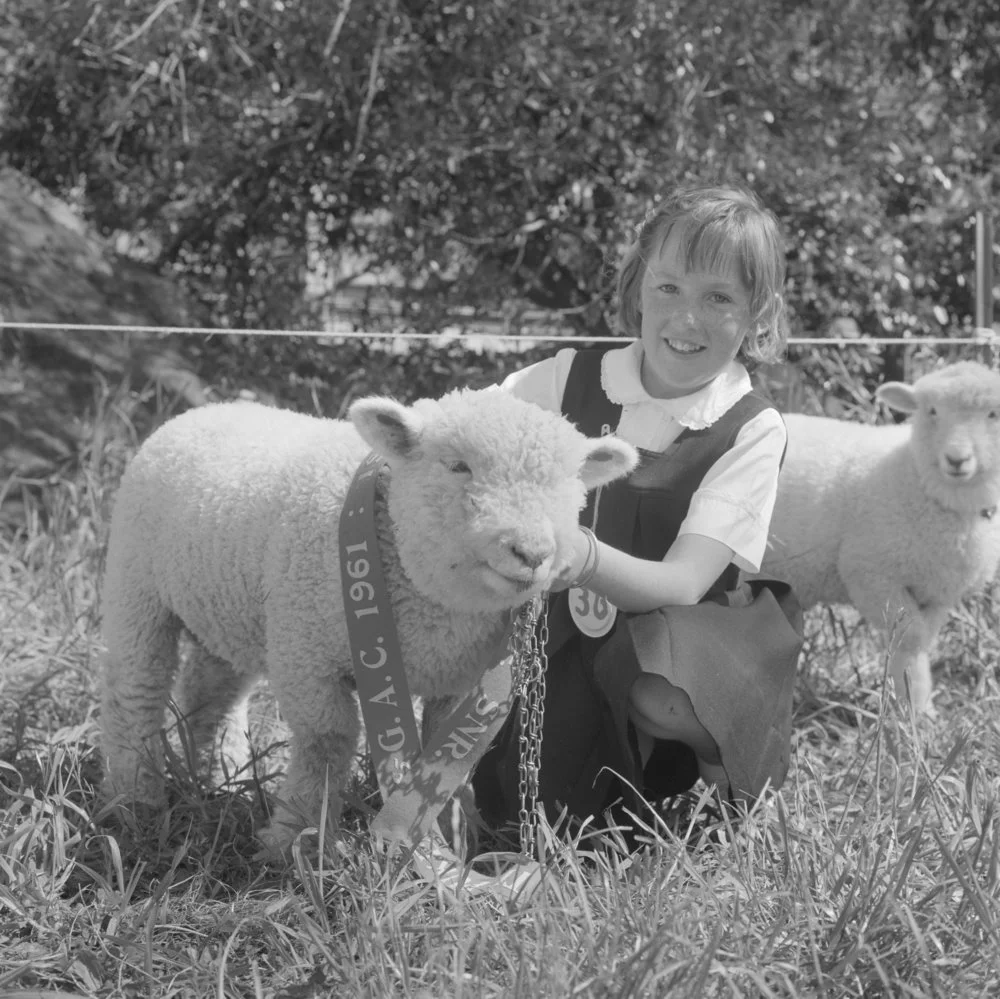 Te Puke District Schools' Field Day - girl with prized lamb