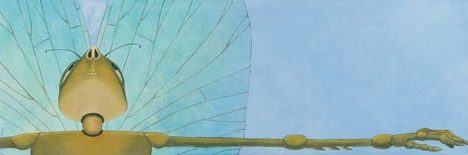 Maiden Flight by Janice Giles