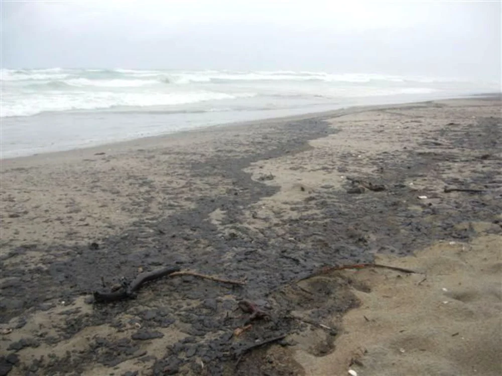 Rena oil spill photos of polluted beach 2012 0110